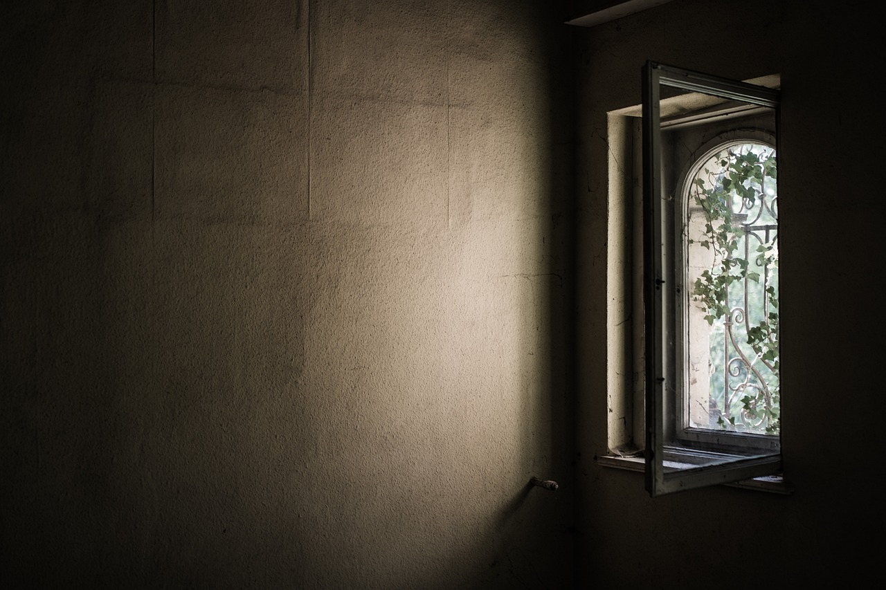 ΚΡΑΥΓΗ 2 Photo by Stockcake
